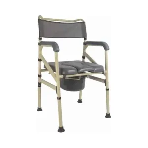 Silla inodoro